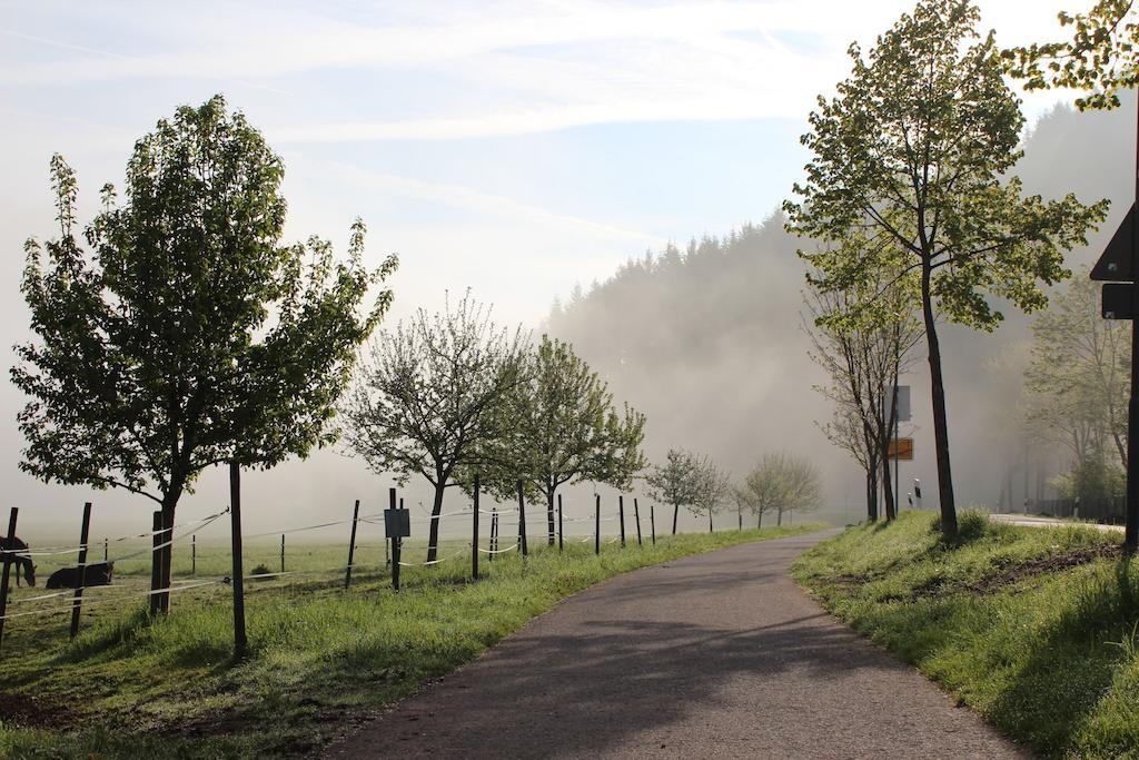 Naturpurhotel Maarblick Meerfeld Chambre photo